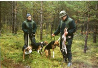 Koppeljakt med Ella, Soitinkorven Vaino o XX Soitinkorven Kallma. Terttu håller i hundarna o Kallma närmast mig. Foto Matti Envall