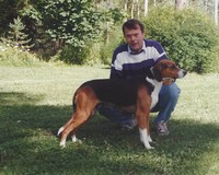 Mikko Louko med XX Vipulan Siiri