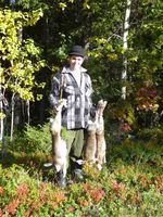 Erik, vårt fadderbarn med tre harar på en dag undan Korpijärvi Jokke.