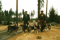 . Erkki Louko till h och Mikko L till v på bild. Hundarna är: XXX Tuuli, Vipulan Johanni som valp, Elli från XXX Jaska/XX Ansa, XXX Vipulan Karoliina, XXX Kerttu, XXX Matti, obekant, XX Fausti och Tyyli. Bild Matti Envall. en gång på 1980 talet besökte vi Mikko under sommaren, givetvis även Erkki och då hade Mikko mer än en handfull championat hundar ur egen produktion. Kennel Vipulan har fött upp många utmärkta hundar. Se separat artikel.